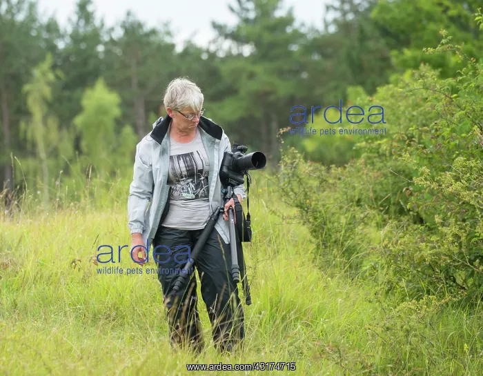 : A Lady is searching for objects for Macrophotography on a Chalk hill : A Lady is searching for objects for Macrophotography on a Chalk hill