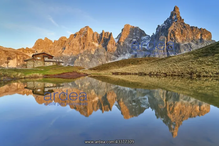 : Laghetto Baita Segantini at sunset, Cimon della : Laghetto Baita Segantini at sunset, Cimon della