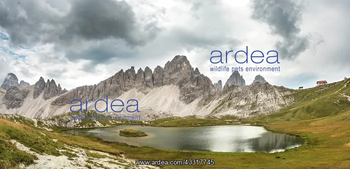 : Lago dei Piani at the Three Peaks Cottage with Paternkofel : Lago dei Piani at the Three Peaks Cottage with Paternkofel