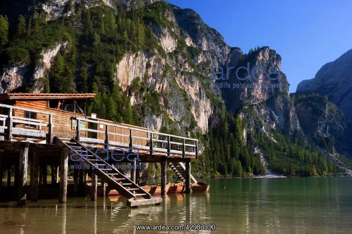 : Lago di Braies / Pragser Wildsee - wooden boat : Lago di Braies / Pragser Wildsee - wooden boat