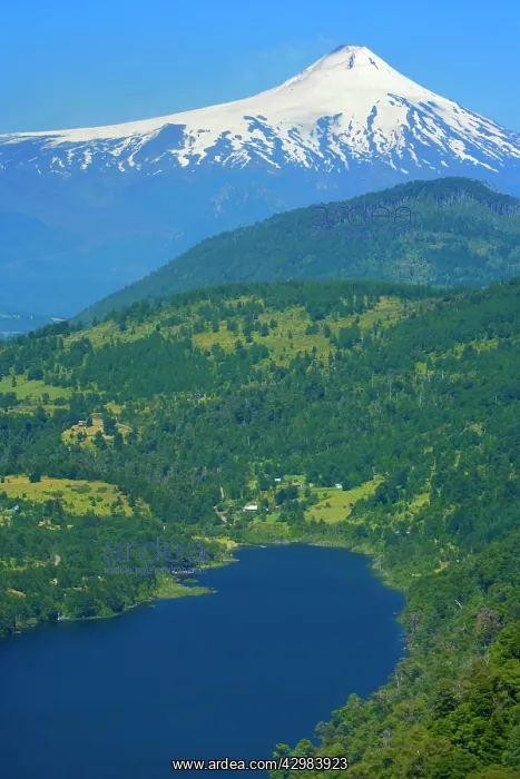 : Lago Tinquilco and Volcan Villarrica - snow covered : Lago Tinquilco and Volcan Villarrica - snow covered