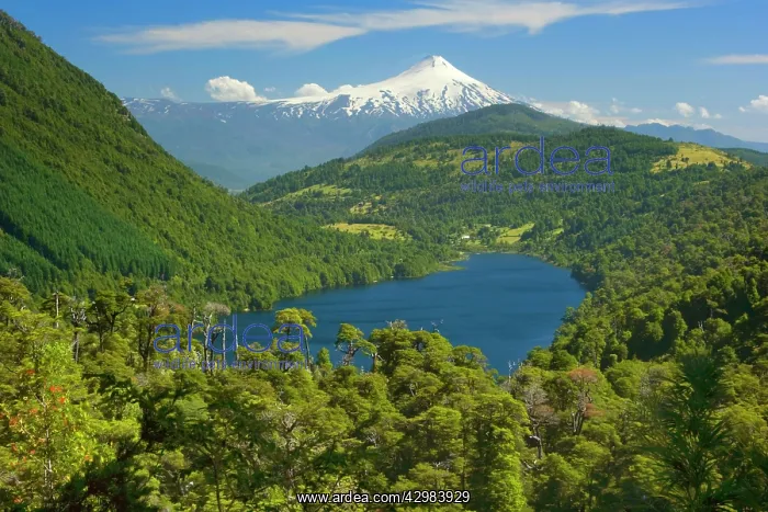 : Lago Tinquilco and Volcan Villarrica - snow covered : Lago Tinquilco and Volcan Villarrica - snow covered
