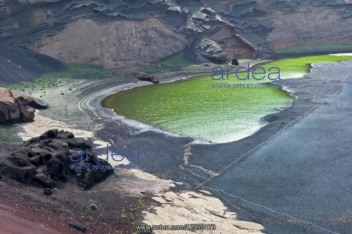 : The Lago Verde / Green Lake - The water contains : The Lago Verde / Green Lake - The water contains