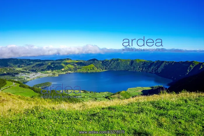 : Lagoa Azul, Sete Cidades, Island of S&, x3be0;Miguel : Lagoa Azul, Sete Cidades, Island of S&, x3be0;Miguel
