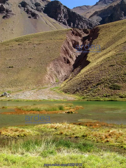 : Laguna de Horcones, Aconcagua Provincial : Laguna de Horcones, Aconcagua Provincial