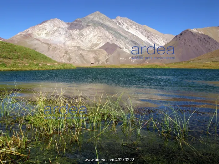 : Laguna de Horcones, Aconcagua Provincial : Laguna de Horcones, Aconcagua Provincial