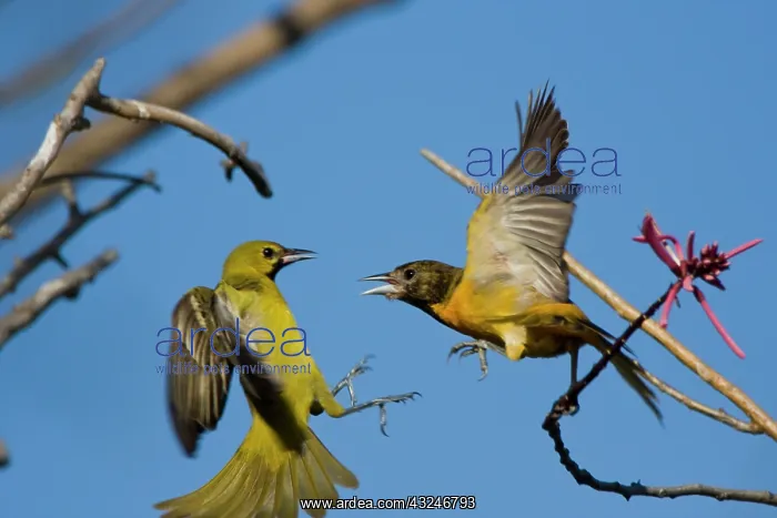 : Laguna Madre Nature Trail, South Padre Island : Laguna Madre Nature Trail, South Padre Island