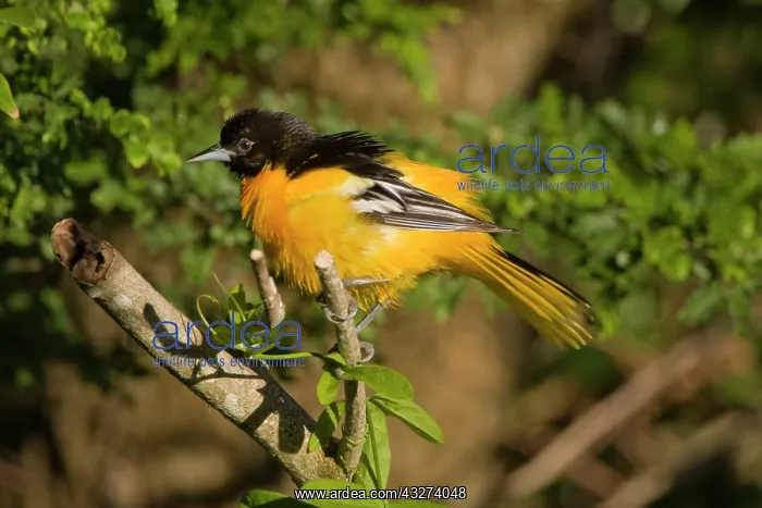 : Laguna Madre Nature Trail, South Padre Island : Laguna Madre Nature Trail, South Padre Island