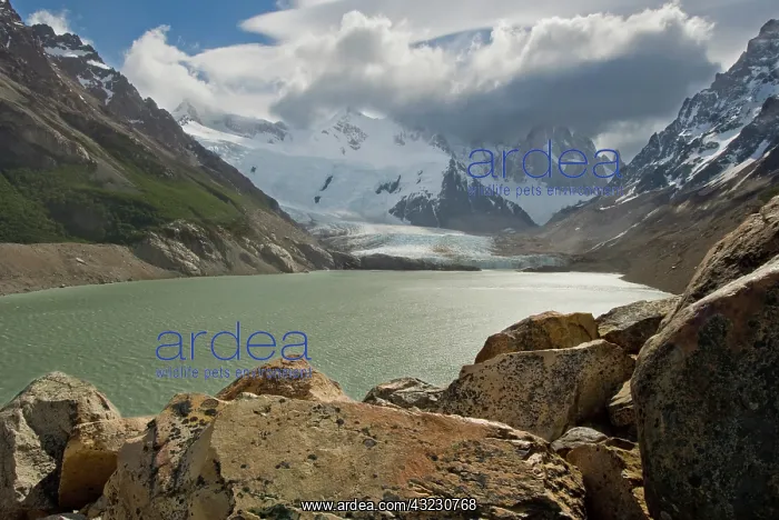 : Laguna Torre and Grande Glacier Los Glaciarers : Laguna Torre and Grande Glacier Los Glaciarers