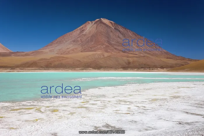 : Laguna Verde at the foot of volcano Licancabur : Laguna Verde at the foot of volcano Licancabur