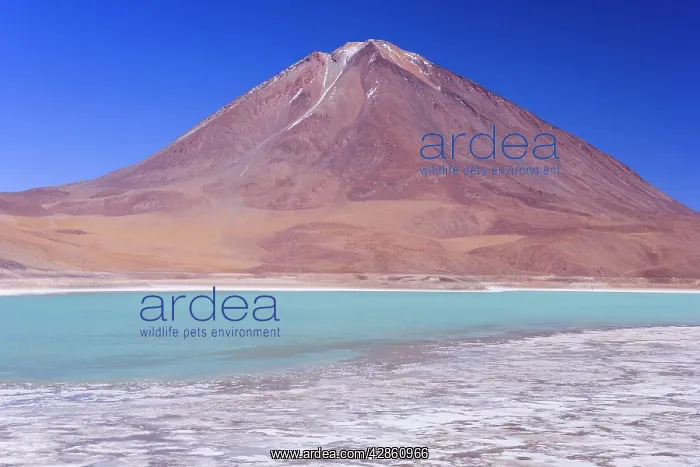 : Laguna Verde and Volcan Licancabur - turqoise coloured : Laguna Verde and Volcan Licancabur - turqoise coloured