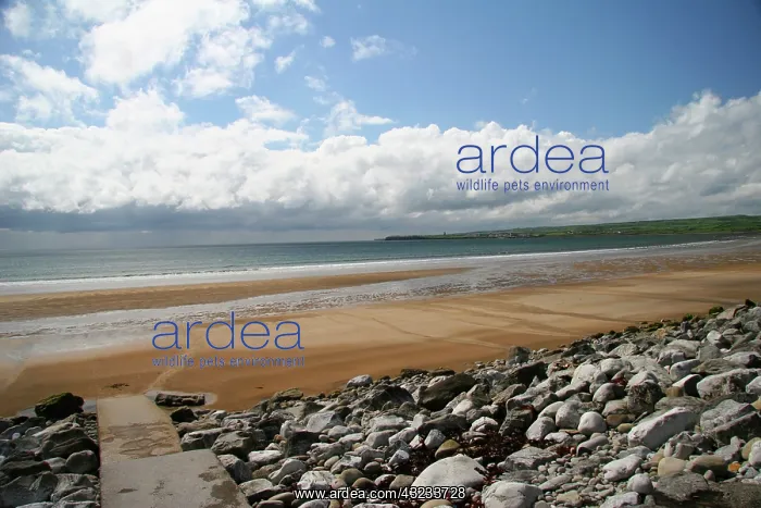 : Lahinch, Ireland. A nice afternoon on the : Lahinch, Ireland. A nice afternoon on the