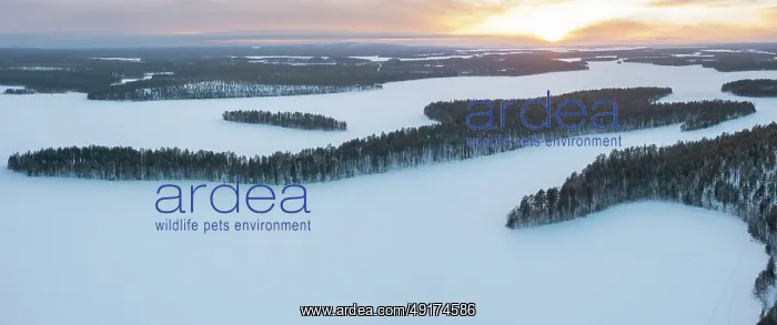 : Lahnaselkae aerial : Lahnaselkae aerial