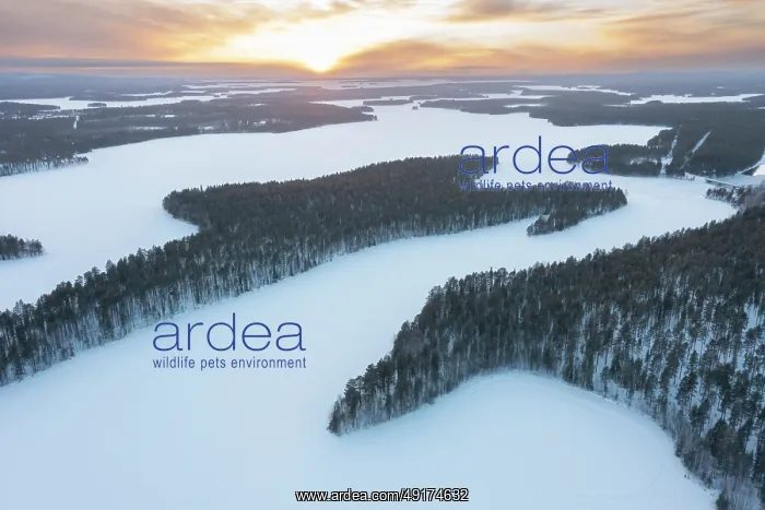 : Lahnaselkae aerial : Lahnaselkae aerial