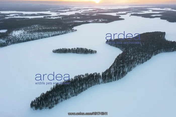 : Lahnaselkae aerial : Lahnaselkae aerial