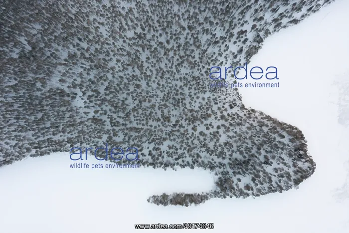 : Lahnaselkae aerial : Lahnaselkae aerial