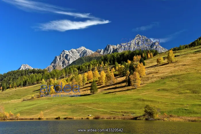 : Lai da Tarasp, lake with mountain landscape in autumn : Lai da Tarasp, lake with mountain landscape in autumn