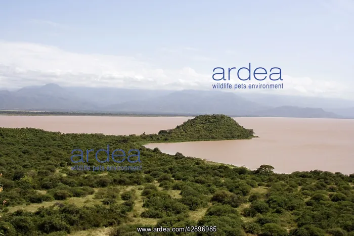  : Lake Abaya, Awasa, Ethiopia, volcanic origin