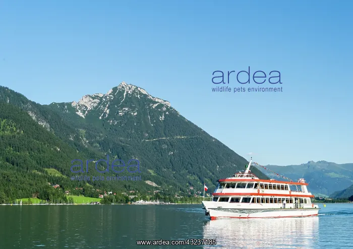 : Lake Achensee in Tyrol, Austria. Excursion : Lake Achensee in Tyrol, Austria. Excursion