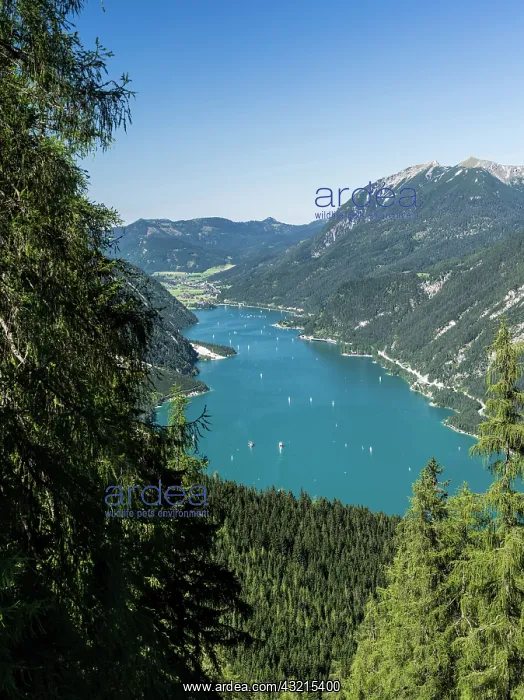: Lake Achensee in Tyrol, Austria. This mountain : Lake Achensee in Tyrol, Austria. This mountain
