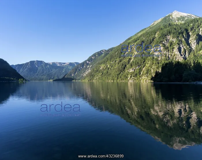 : Lake Achensee in Tyrol, Austria. This mountain : Lake Achensee in Tyrol, Austria. This mountain