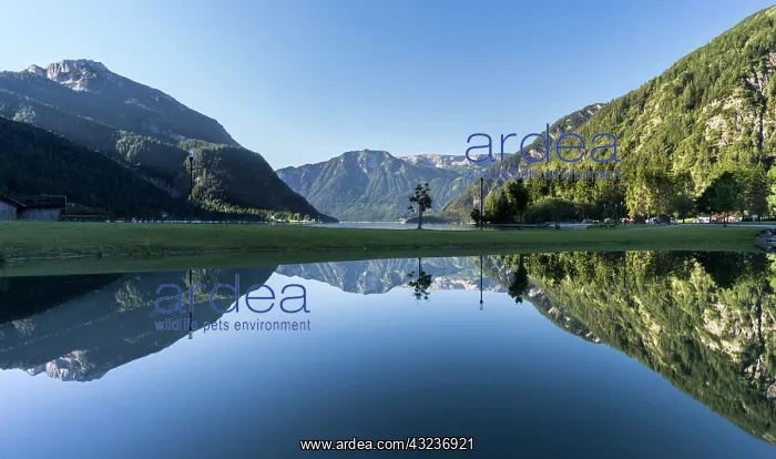 : Lake Achensee in Tyrol, Austria. This mountain : Lake Achensee in Tyrol, Austria. This mountain