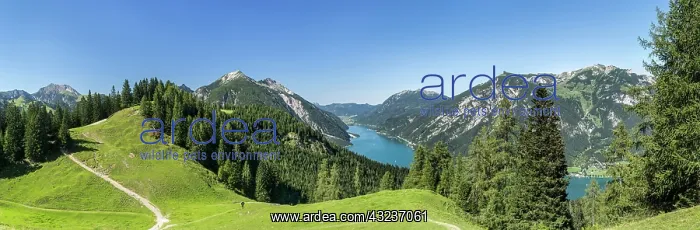 : Lake Achensee in Tyrol, Austria. This mountain : Lake Achensee in Tyrol, Austria. This mountain