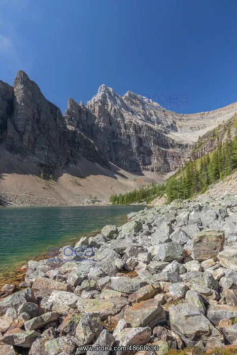 : Lake Agnes, Banff National Park, Alberta, Canada : Lake Agnes, Banff National Park, Alberta, Canada