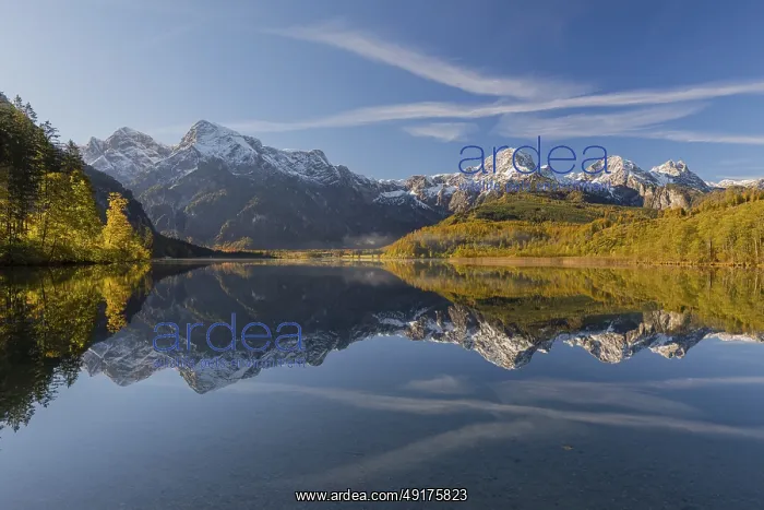 : Lake Almsee in autumn with a forest and mountains reflected in the lake : Lake Almsee in autumn with a forest and mountains reflected in the lake