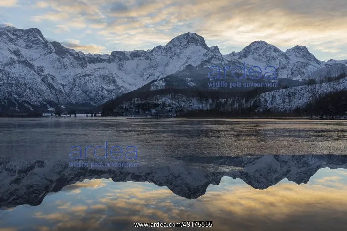 : Lake Almsee in winter. Snow on the mountains and some clouds in the sky : Lake Almsee in winter. Snow on the mountains and some clouds in the sky
