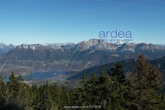 : Lake Annecy and the massif of Tournette, in the : Lake Annecy and the massif of Tournette, in the