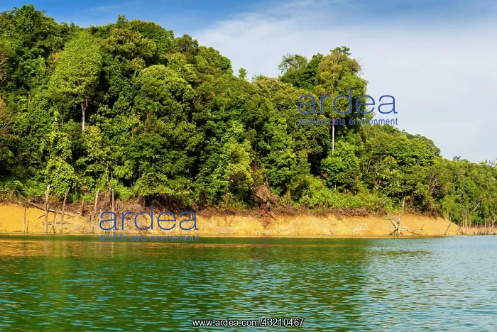 : Lake Batang Ai, Batang Ai National Park : Lake Batang Ai, Batang Ai National Park