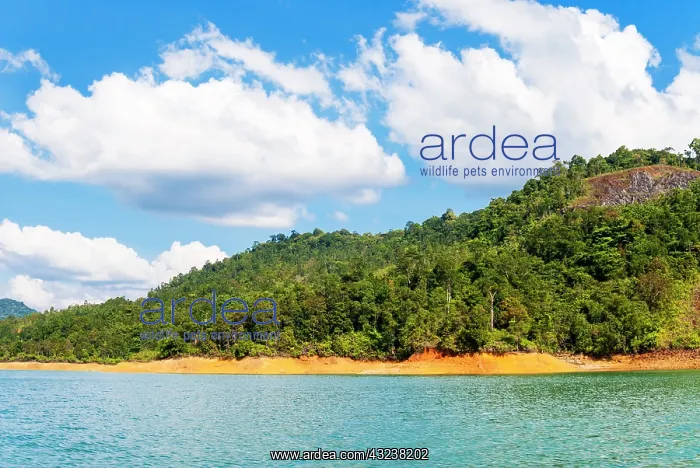 : Lake Batang Ai, Batang Ai National Park : Lake Batang Ai, Batang Ai National Park