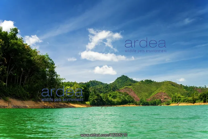 : Lake Batang Ai, Batang Ai National Park : Lake Batang Ai, Batang Ai National Park