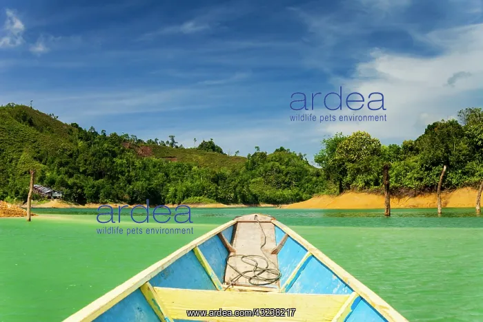 : Lake Batang Ai, Batang Ai National Park : Lake Batang Ai, Batang Ai National Park