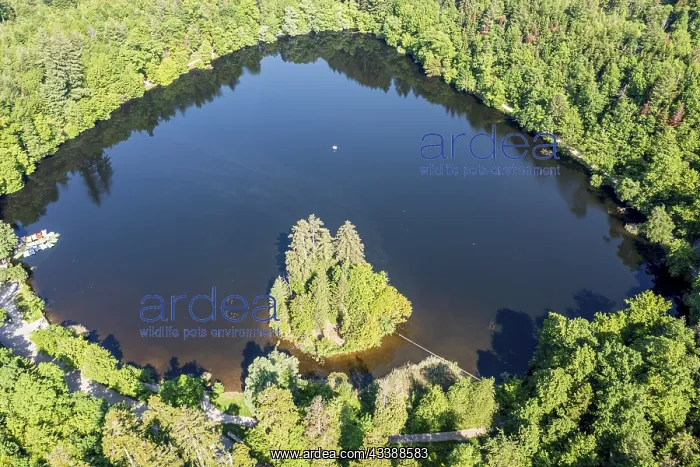 : Lake Bergsee (mountain lake) near Bad Scckingen : Lake Bergsee (mountain lake) near Bad Scckingen