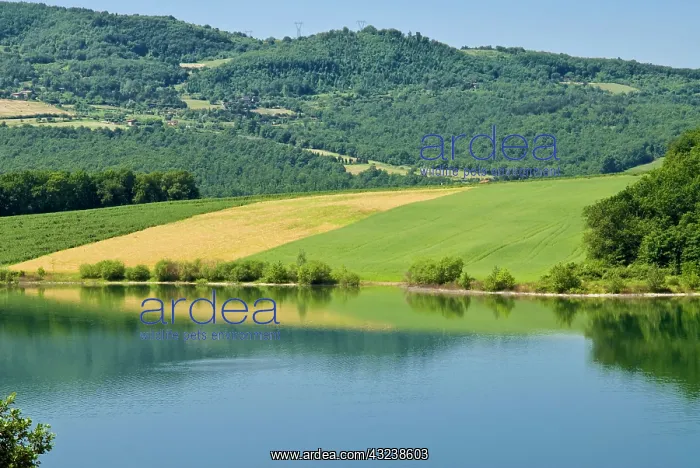 : Lake of Bilancino, Mugello, Firenze Province : Lake of Bilancino, Mugello, Firenze Province