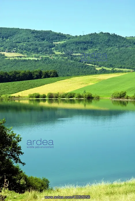 : Lake of Bilancino, Mugello, Firenze Province : Lake of Bilancino, Mugello, Firenze Province