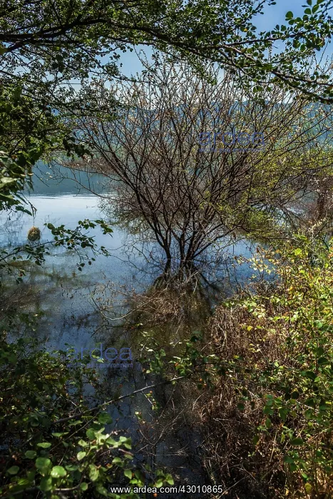 : Lake Bogoria flooded waters after the rains Lake : Lake Bogoria flooded waters after the rains Lake