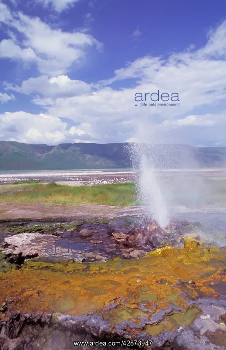 : Lake Bogoria - soda lake with hot springs and geysers