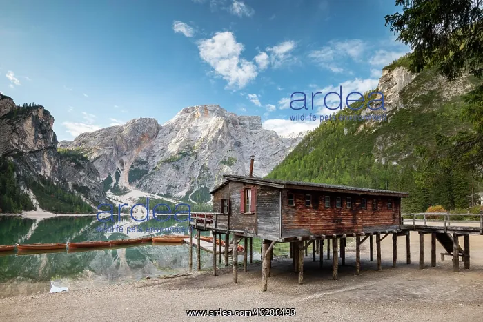 : Lake Braies, mountain lake with boathouse and boats : Lake Braies, mountain lake with boathouse and boats