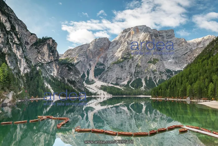 : Lake Braies, mountain lake with rowing boats, behind : Lake Braies, mountain lake with rowing boats, behind