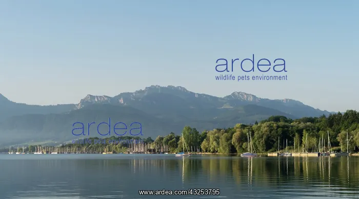 : Lake Chiemsee with the Bavarian Alps in : Lake Chiemsee with the Bavarian Alps in