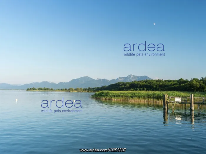  : Lake Chiemsee with the Bavarian Alps in