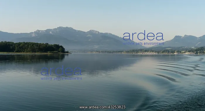 : Lake Chiemsee with the Bavarian Alps in : Lake Chiemsee with the Bavarian Alps in