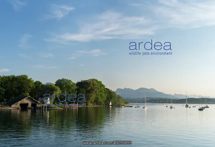 : Lake Chiemsee with the Bavarian Alps in : Lake Chiemsee with the Bavarian Alps in