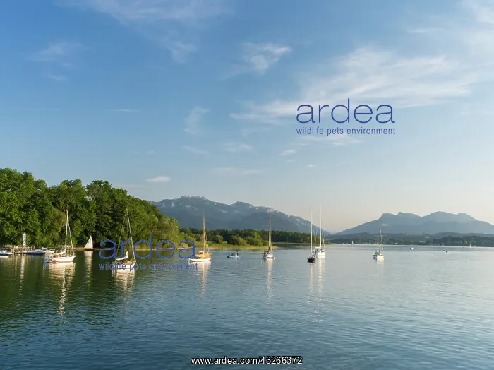 : Lake Chiemsee with the Bavarian Alps in : Lake Chiemsee with the Bavarian Alps in