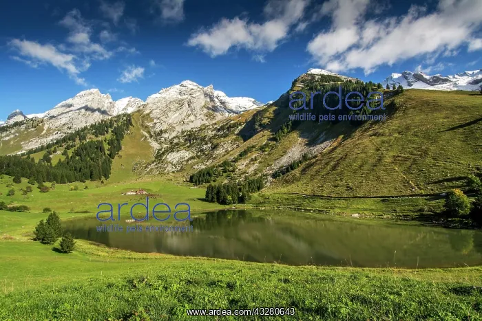 : Lake of Confins, Massif of Arvis, La Clusaz, Haute-Savoie : Lake of Confins, Massif of Arvis, La Clusaz, Haute-Savoie