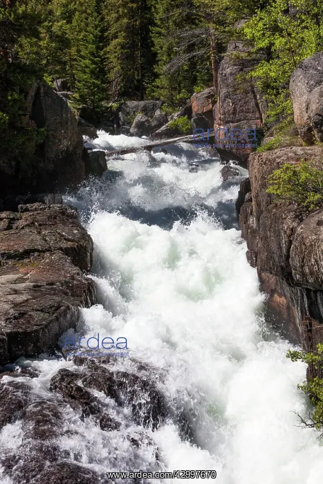  : Lake Creek Falls Beartooth Highway, Montana, USA