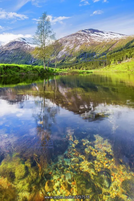 : Lake Dalevatnet, Sogn og Fjordane, Norway, Europe : Lake Dalevatnet, Sogn og Fjordane, Norway, Europe